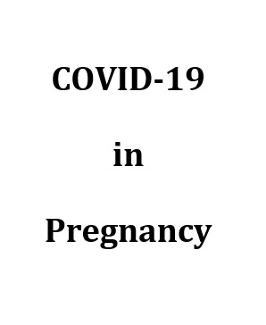 انتقال عمودی ویروس کووید 19 در بارداری