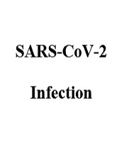 International Journal of Infection