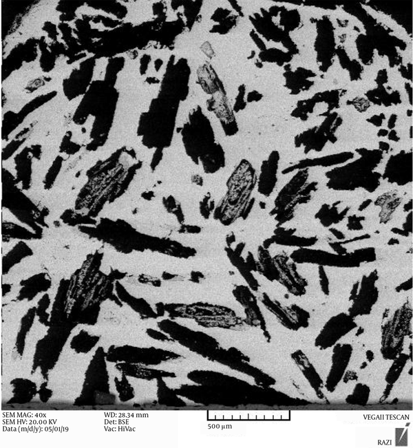 SEM image of the specimens fabricated by acicular urea space holder with a 500-μm magnification